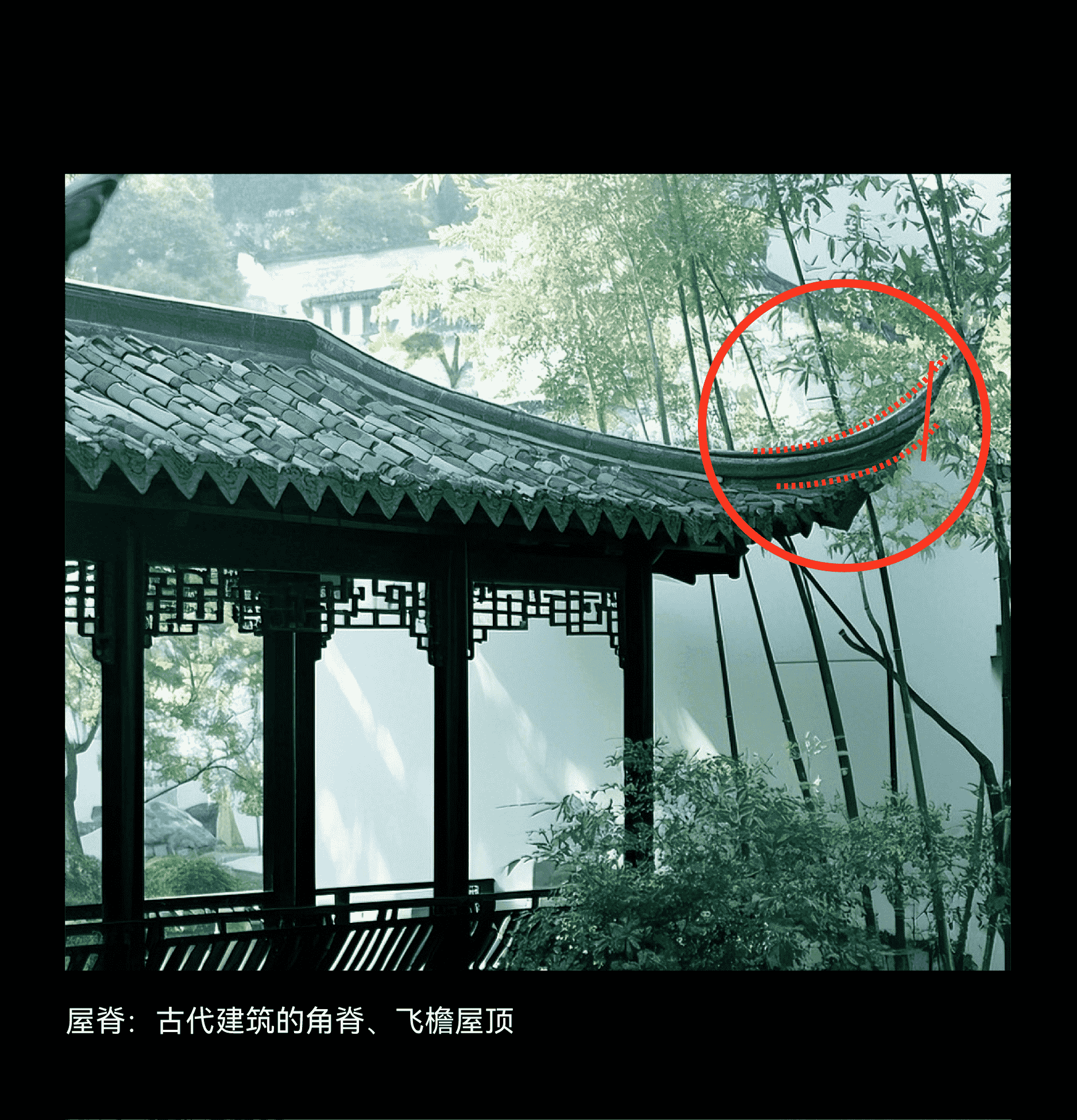 壮大运-37.png